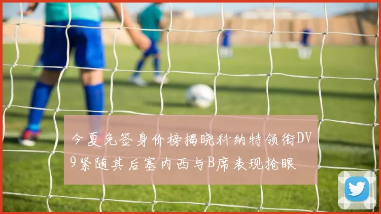 今夏免签身价榜揭晓科纳特领衔DV9紧随其后塞内西与B席表现抢眼